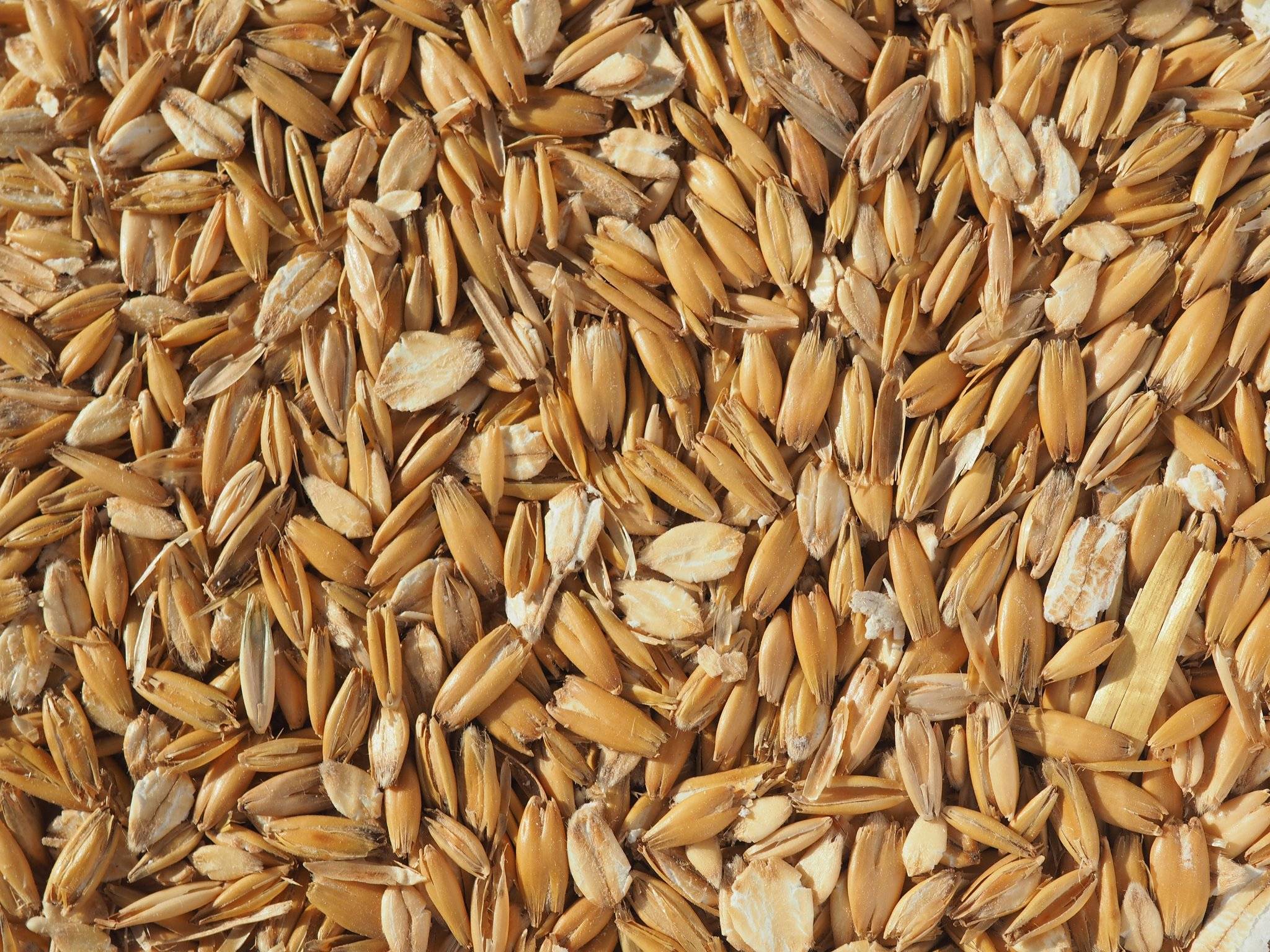Beta Glucan | Skin Nutrient™